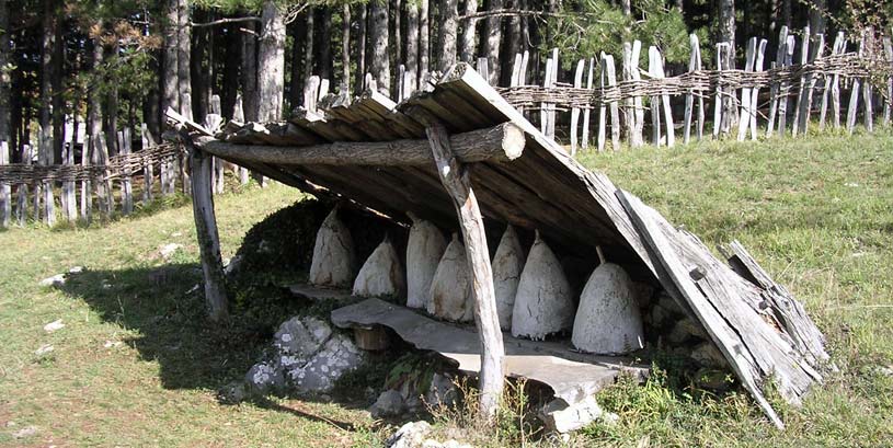 Уљаник Уљаник