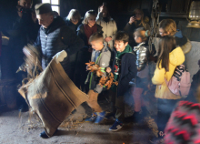 Бадњи дан у Музеју на отвореном „Старо село“ у Сирогојну