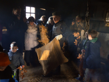 Бадњи дан у Музеју на отвореном