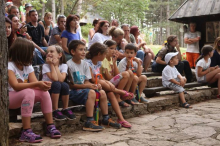 Свет музике