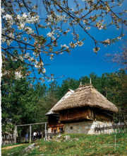 публикација