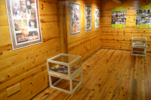 ретроспектива1