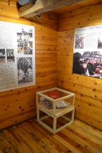 програмска ретроспекитва