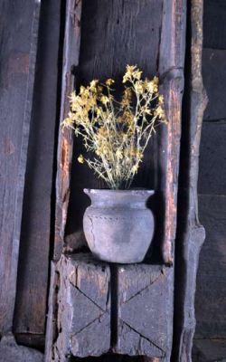 Главна кућа Главна кућа