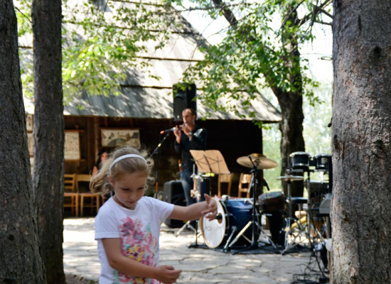 Свет музике Свет музике