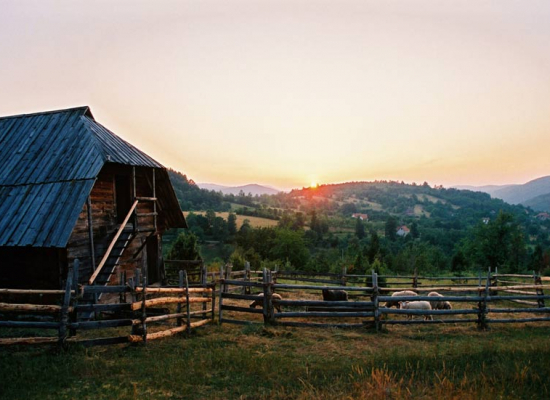 Стална поставка