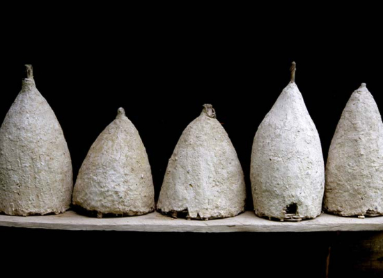 Вајат са тремом