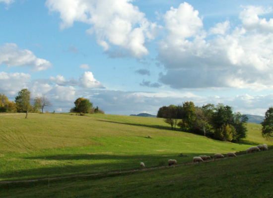 Црквина Љубиш Сирогојно