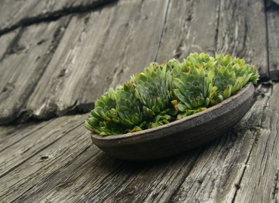 I домаћинство