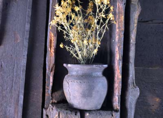 Главна кућа