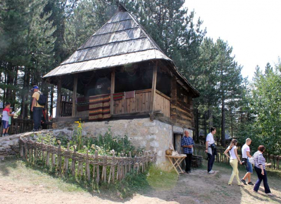 I домаћинство