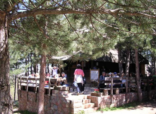 Сирогојно ресторан