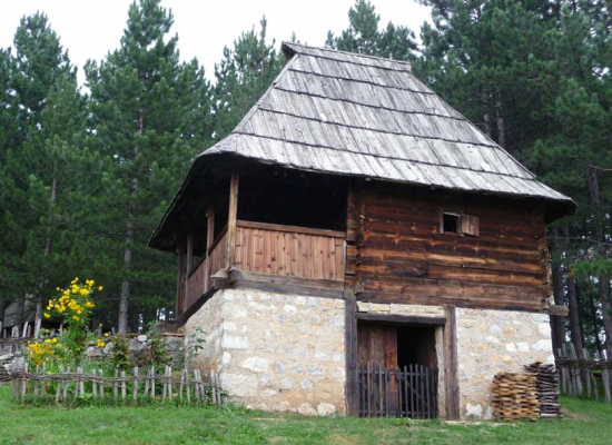 Вајат са тремом