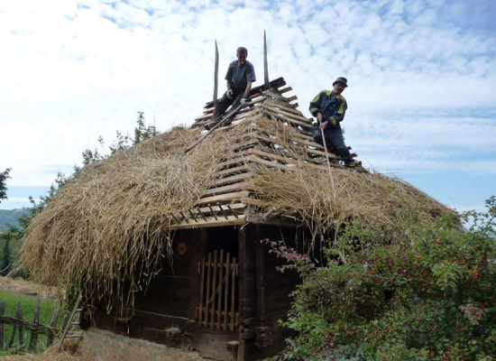Вајат скривница