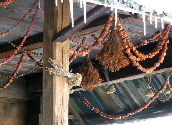 Вајат са тремом