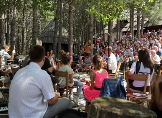 Свет музике