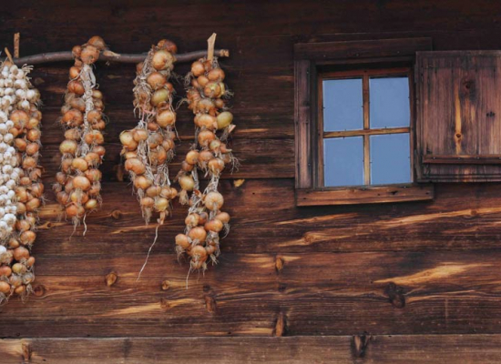 Главна кућа Главна кућа